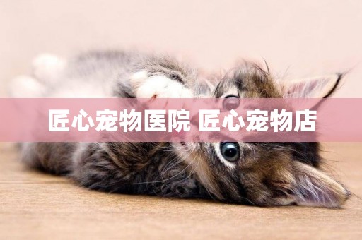 匠心寵物醫院 匠心寵物店