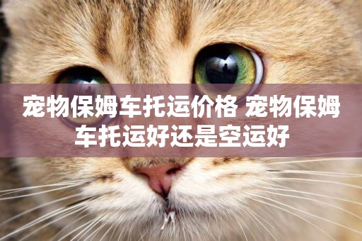寵物保姆車托運價格 寵物保姆車托運好還是空運好