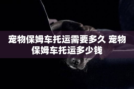 寵物保姆車托運需要多久 寵物保姆車托運多少錢