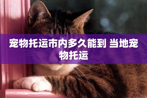 寵物托運市內多久能到 當地寵物托運