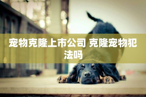 寵物克隆上市公司 克隆寵物犯法嗎