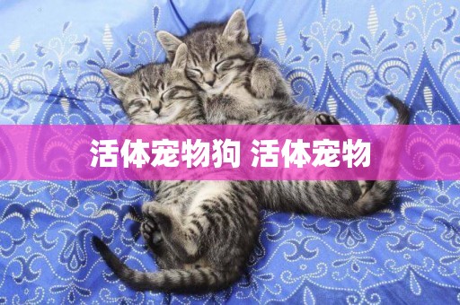 活體寵物狗 活體寵物