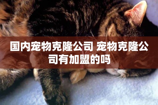 國內寵物克隆公司 寵物克隆公司有加盟的嗎