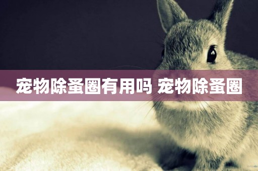 寵物除蚤圈有用嗎 寵物除蚤圈