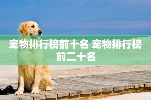 寵物排行榜前十名 寵物排行榜前二十名