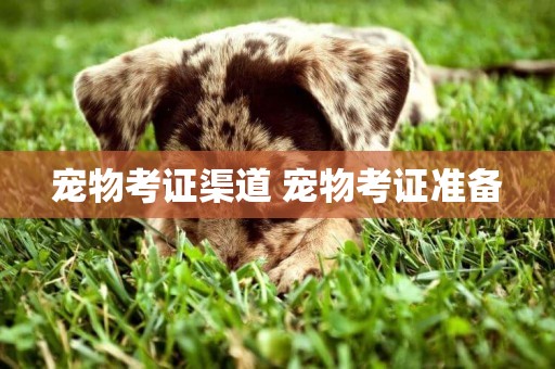 寵物考證渠道 寵物考證準備