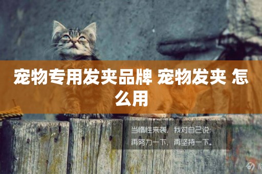 寵物專用發夾品牌 寵物發夾 怎么用