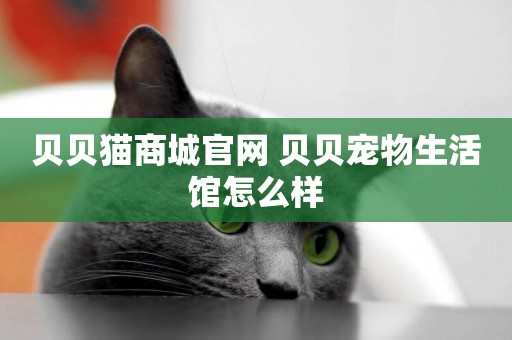 貝貝貓商城官網 貝貝寵物生活館怎么樣