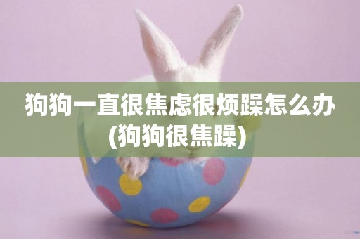 狗狗一直很焦慮很煩躁怎么辦(狗狗很焦躁) 
