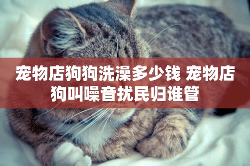寵物店狗狗洗澡多少錢 寵物店狗叫噪音擾民歸誰管