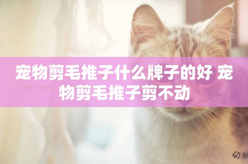 寵物剪毛推子什么牌子的好 寵物剪毛推子剪不動