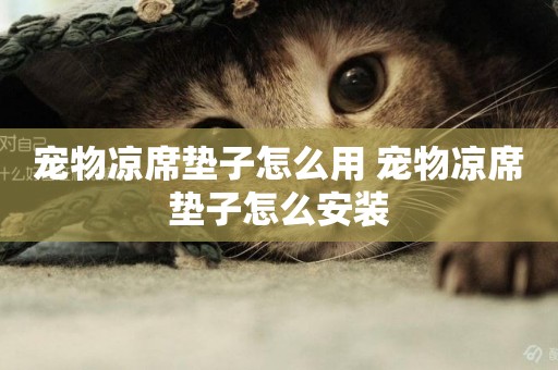 寵物涼席墊子怎么用 寵物涼席墊子怎么安裝