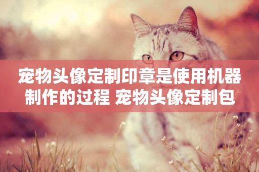 寵物頭像定制印章是使用機器制作的過程 寵物頭像定制包