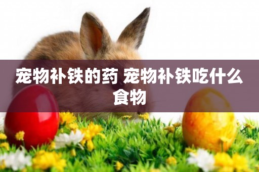 寵物補鐵的藥 寵物補鐵吃什么食物