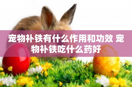 寵物補鐵有什么作用和功效 寵物補鐵吃什么藥好