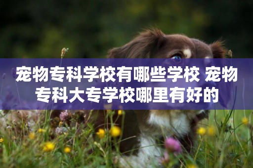 寵物專科學校有哪些學校 寵物專科大專學校哪里有好的