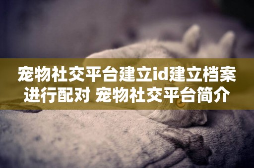 寵物社交平臺建立id建立檔案進行配對 寵物社交平臺簡介