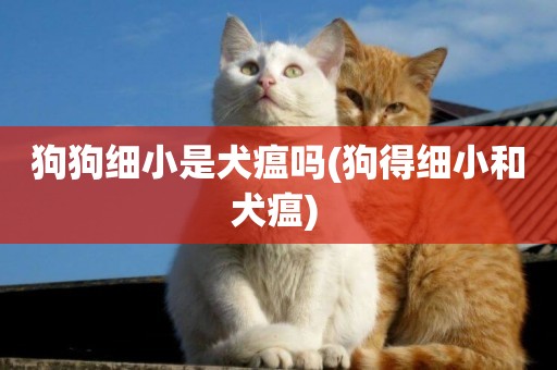 狗狗細小是犬瘟嗎(狗得細小和犬瘟) 