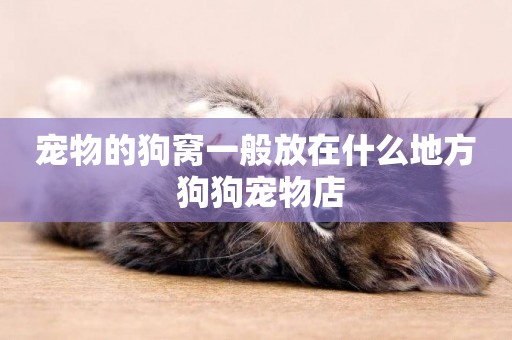 寵物的狗窩一般放在什么地方 狗狗寵物店
