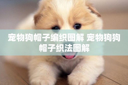 寵物狗帽子編織圖解 寵物狗狗帽子織法圖解