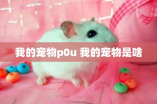我的寵物p0u 我的寵物是啥