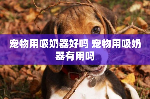 寵物用吸奶器好嗎 寵物用吸奶器有用嗎