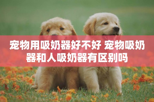 寵物用吸奶器好不好 寵物吸奶器和人吸奶器有區別嗎