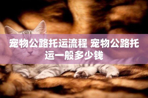 寵物公路托運流程 寵物公路托運一般多少錢