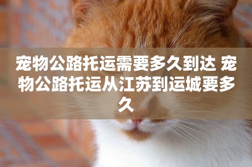 寵物公路托運需要多久到達 寵物公路托運從江蘇到運城要多久
