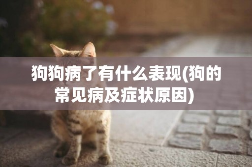 狗狗病了有什么表現(狗的常見病及癥狀原因) 