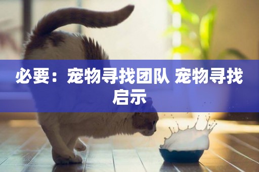 必要：寵物尋找團隊 寵物尋找啟示