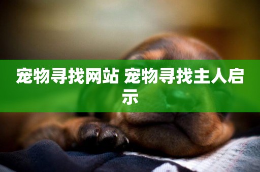 寵物尋找網站 寵物尋找主人啟示