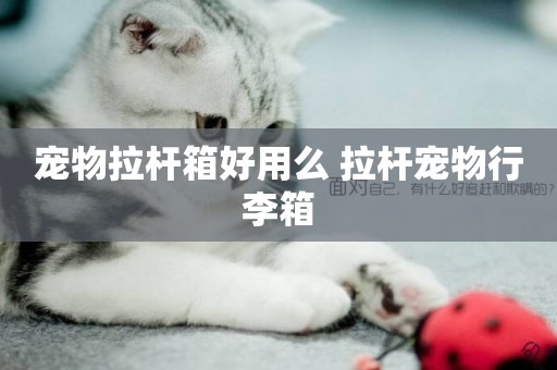 寵物拉桿箱好用么 拉桿寵物行李箱