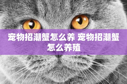 寵物招潮蟹怎么養 寵物招潮蟹怎么養殖