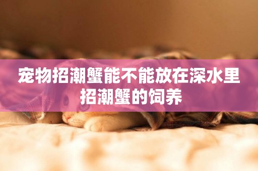 寵物招潮蟹能不能放在深水里 招潮蟹的飼養