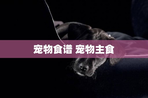 寵物食譜 寵物主食