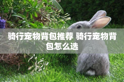 騎行寵物背包推薦 騎行寵物背包怎么選
