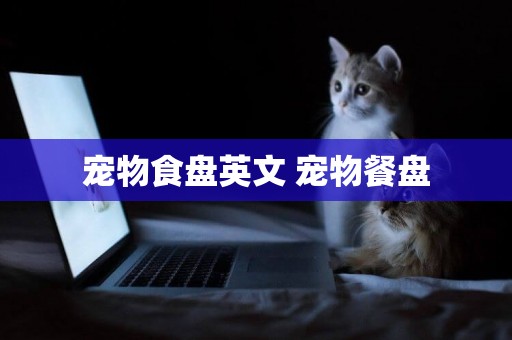 寵物食盤英文 寵物餐盤