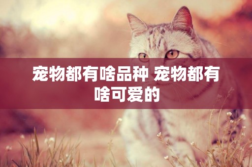 寵物都有啥品種 寵物都有啥可愛的