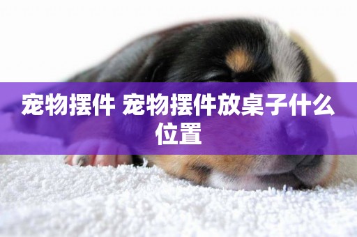 寵物擺件 寵物擺件放桌子什么位置