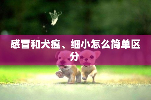 感冒和犬瘟、細小怎么簡單區分 
