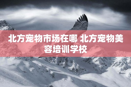 北方寵物市場在哪 北方寵物美容培訓學校