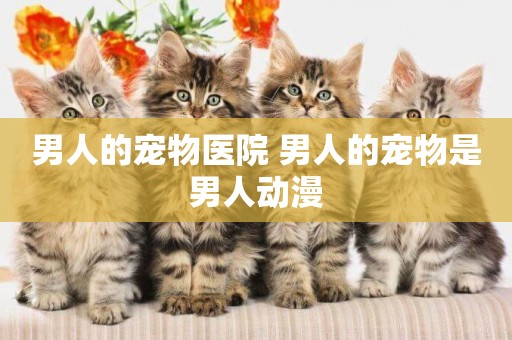 男人的寵物醫院 男人的寵物是男人動漫