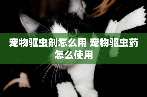 寵物驅蟲劑怎么用 寵物驅蟲藥怎么使用