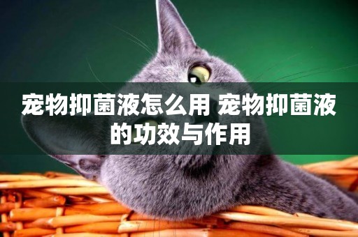 寵物抑菌液怎么用 寵物抑菌液的功效與作用