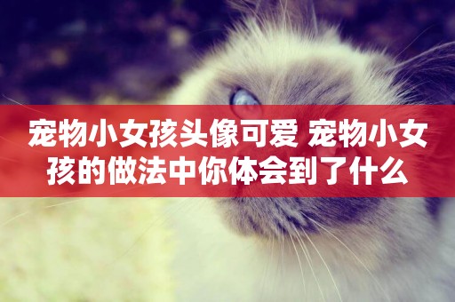 寵物小女孩頭像可愛 寵物小女孩的做法中你體會到了什么
