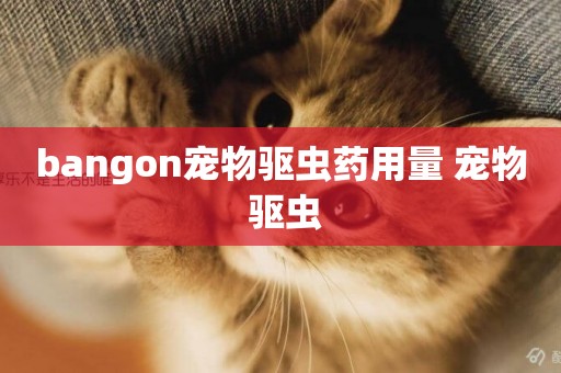 bangon寵物驅蟲藥用量 寵物 驅蟲
