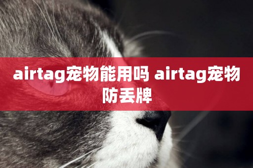 airtag寵物能用嗎 airtag寵物防丟牌