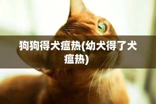 狗狗得犬瘟熱(幼犬得了犬瘟熱) 