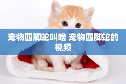 寵物四腳蛇叫啥 寵物四腳蛇的視頻